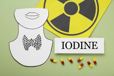 Photo of Paper note with word Iodine, radiation sign, cutout of thyroid gland and pills on olive background, flat lay