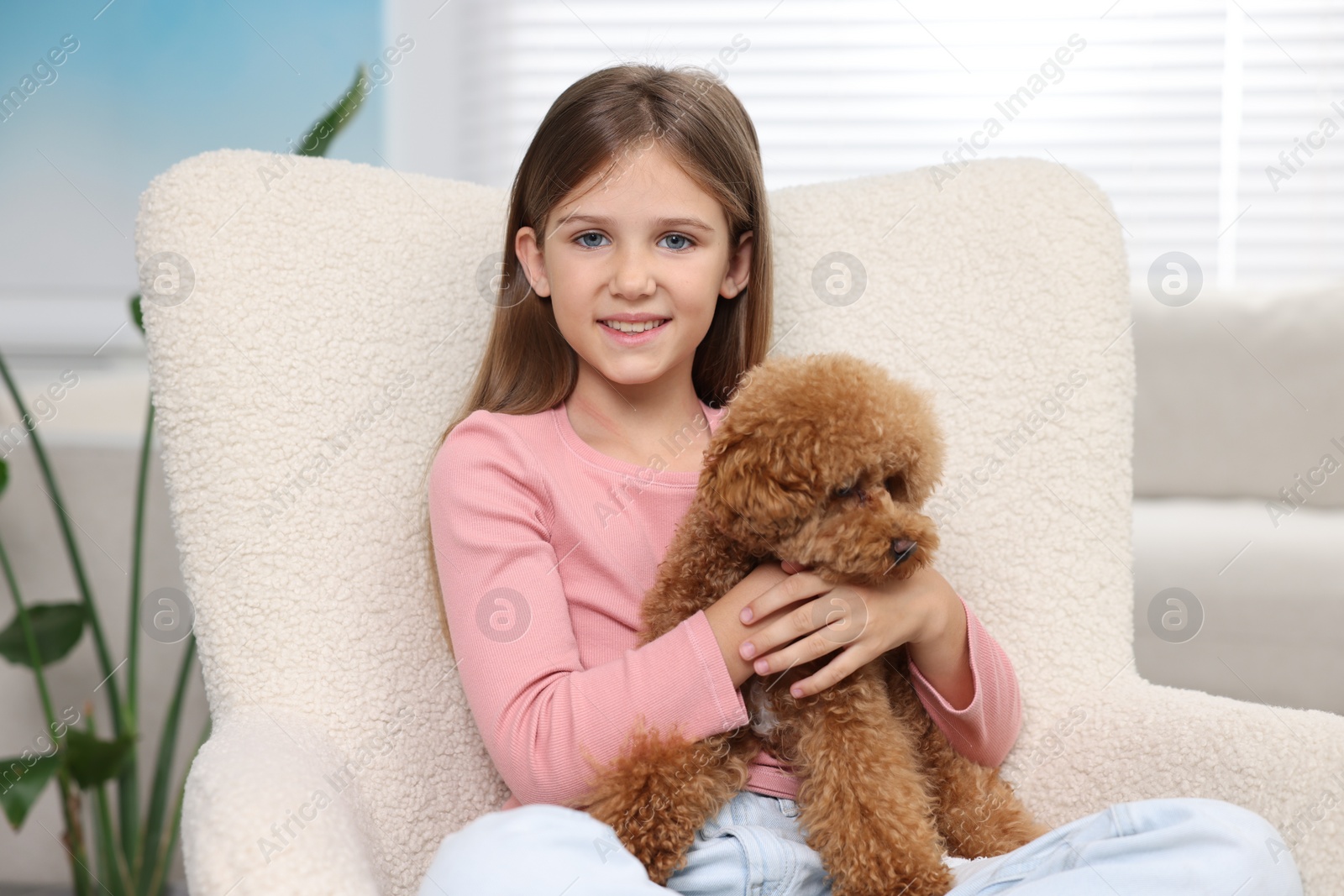 Photo of Little child with cute puppy in armchair at home. Lovely pet