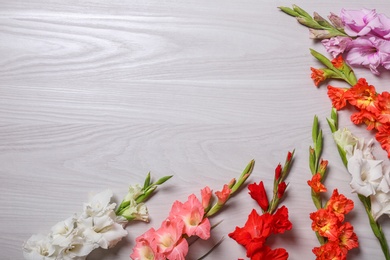 Flat lay composition with beautiful gladiolus flowers on wooden background. Space for text