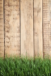 Photo of Fresh green grass near wooden fence. Space for text