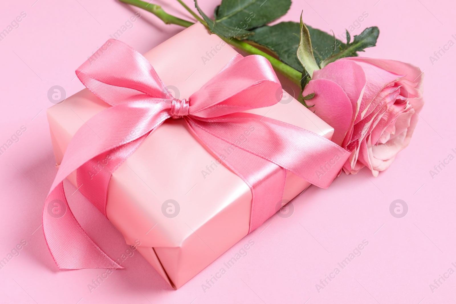 Photo of Gift box and beautiful rose flower on pink background, closeup