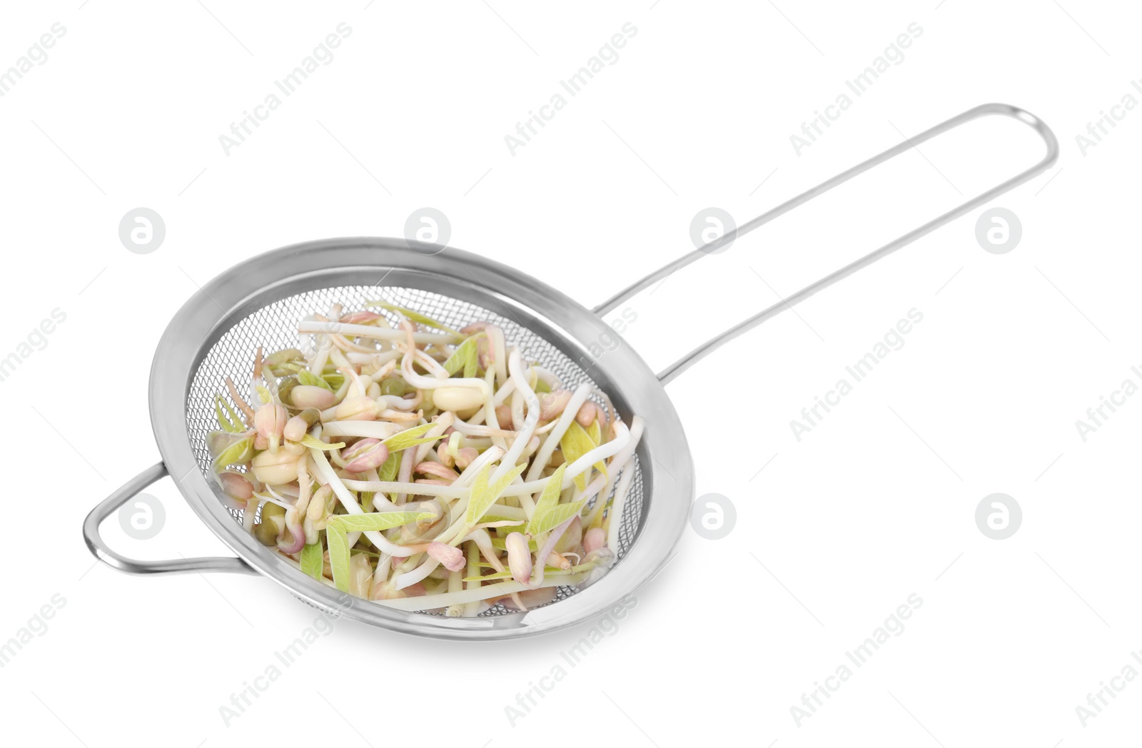 Photo of Mung bean sprouts in strainer isolated on white
