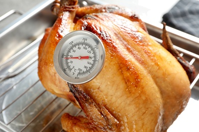 Photo of Roasted turkey with meat thermometer on baking rack