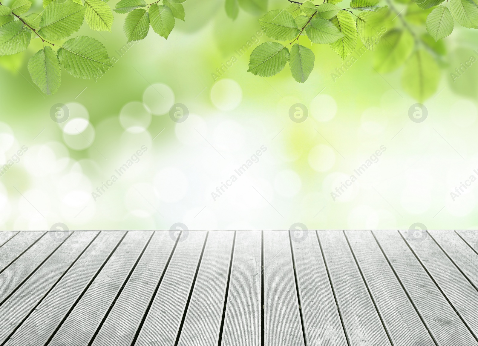 Image of Empty wooden surface and beautiful green leaves on blurred background. Bokeh effect