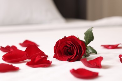 Photo of Honeymoon. Beautiful rose flower and petals on bed in room, closeup