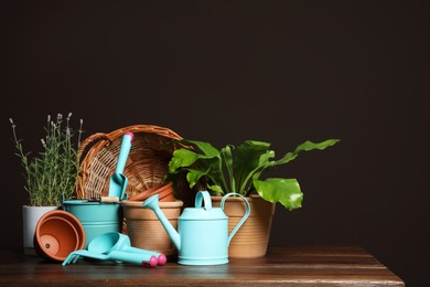 Beautiful plants and gardening tools on wooden table against brown background