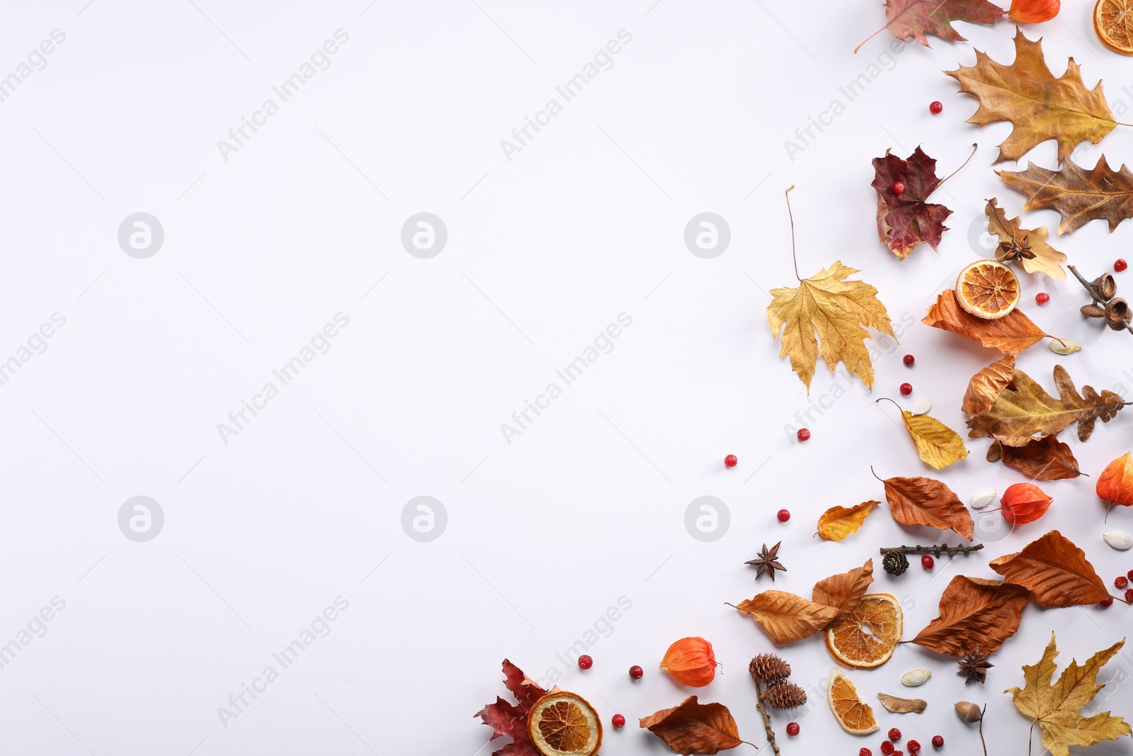 Photo of Flat lay composition with dry autumn leaves on white background. Space for text