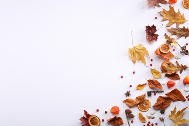 Flat lay composition with dry autumn leaves on white background. Space for text