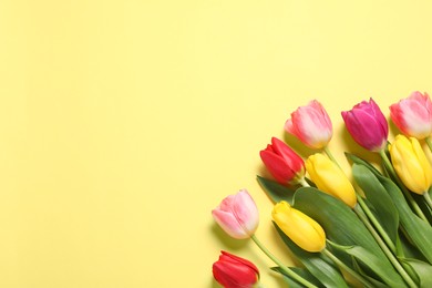 Beautiful colorful tulips on pale yellow background, flat lay. Space for text