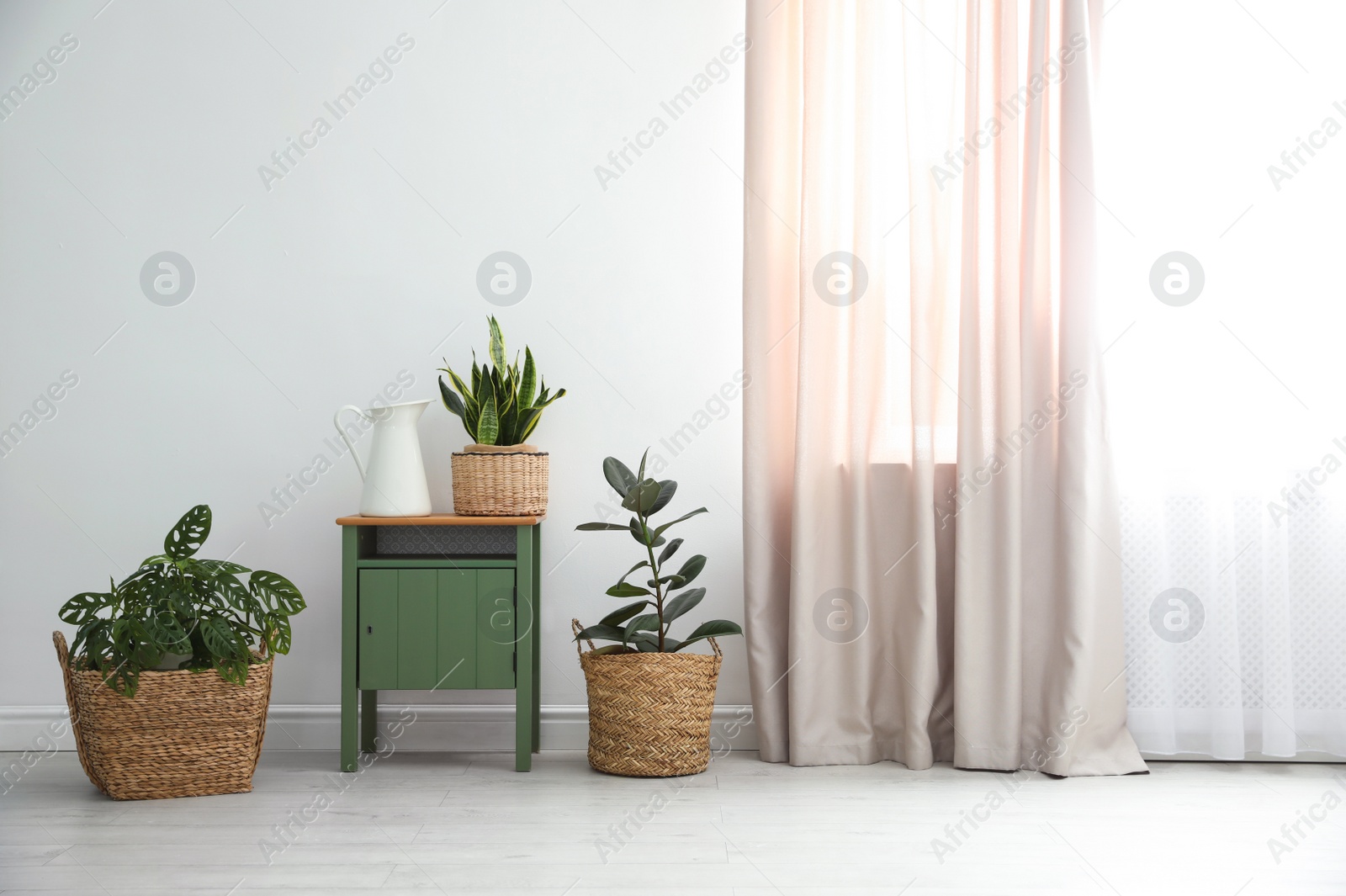 Photo of Different tropical plants in wicker pots near white wall at home