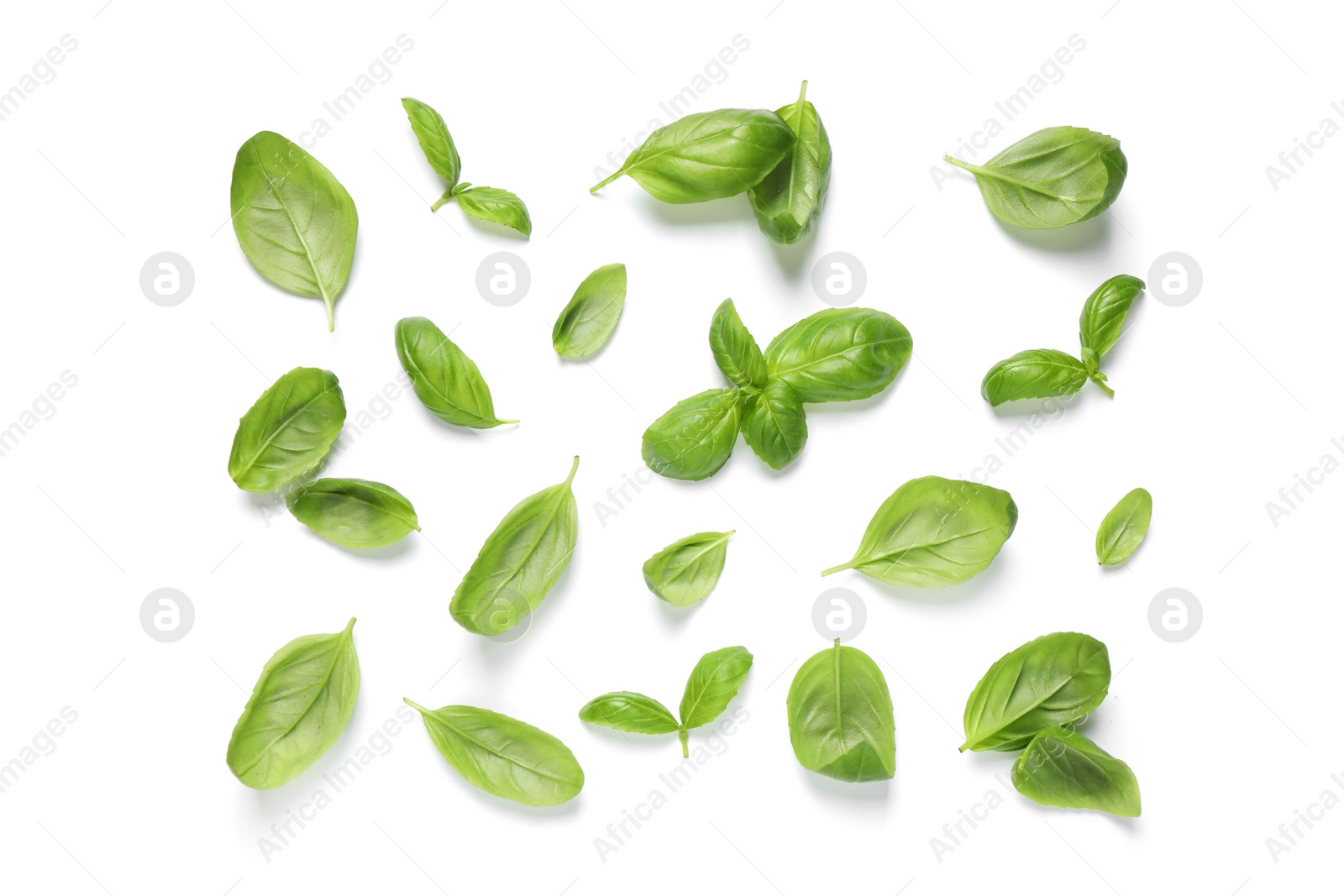 Photo of Fresh green basil leaves on white background, top view