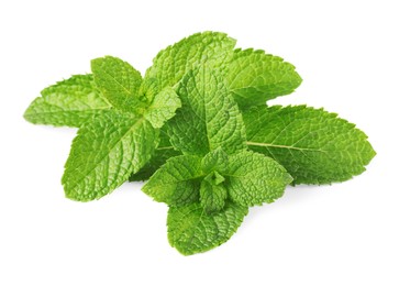 Fresh green mint leaves isolated on white