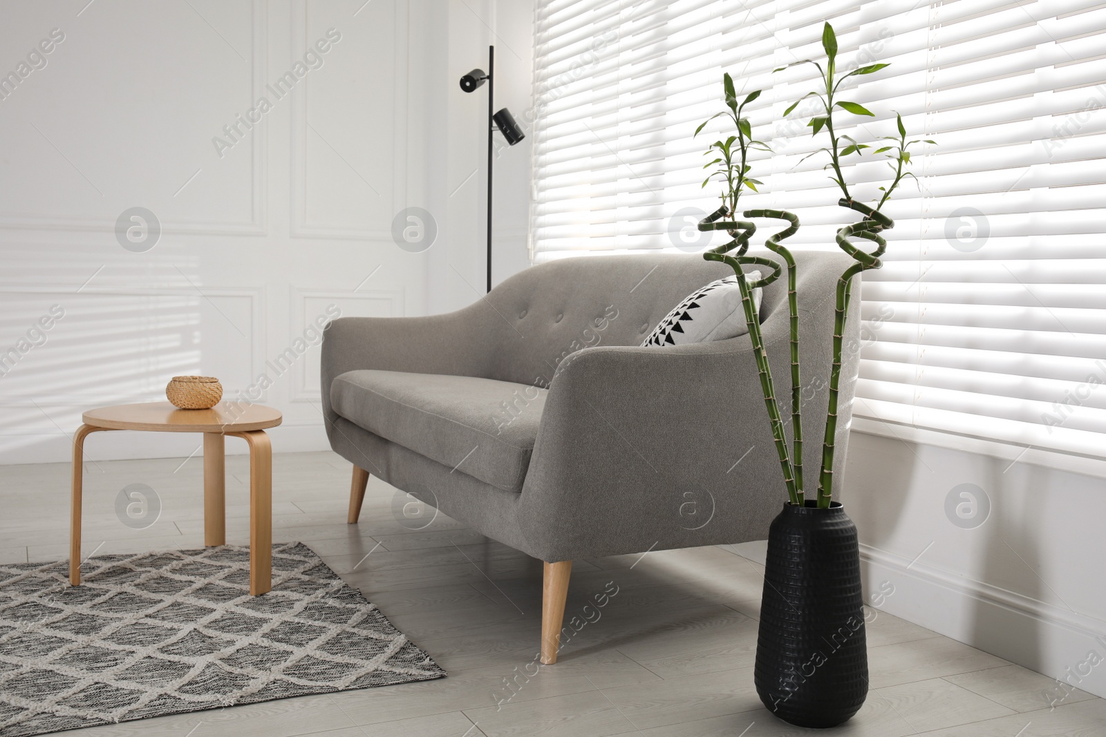 Photo of Vase with green bamboo stems near sofa in living room interior