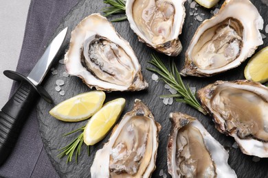 Photo of Delicious fresh oysters with lemon slices served on grey table, flat lay