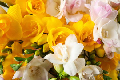 Photo of Beautiful colorful freesia bouquet as background, closeup