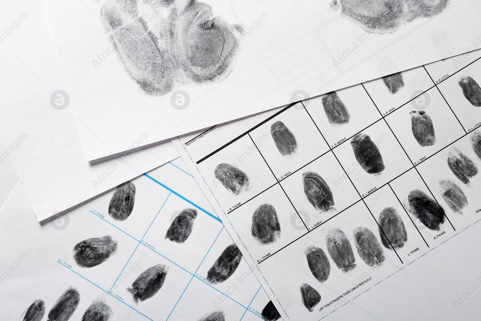 Photo of Police forms with fingerprints, top view. Forensic examination