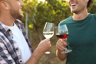 Friends holding glasses of wine and having fun on vineyard picnic