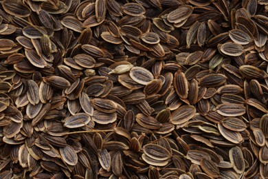 Many dry dill seeds as background, top view