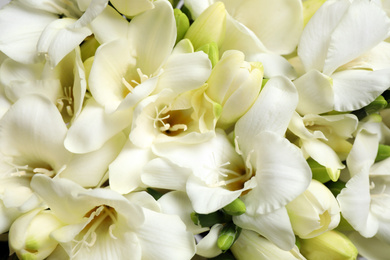 Beautiful aromatic freesia bouquet as background, closeup