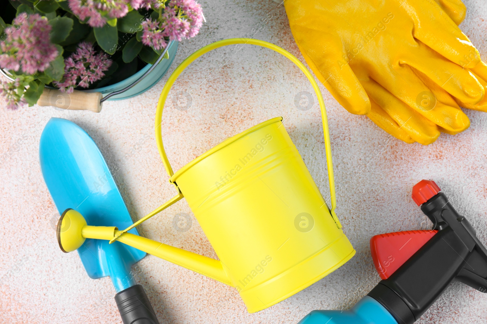 Photo of Watering can, flowers and gardening tools on table, flat lay