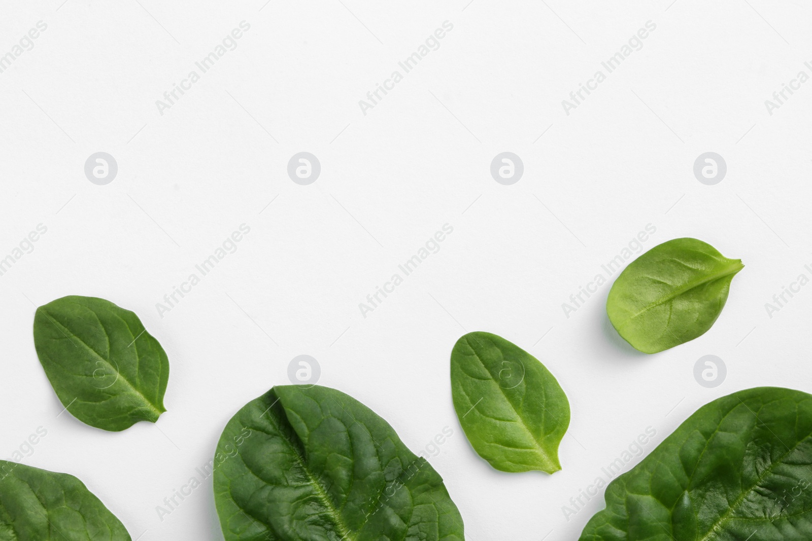 Photo of Fresh leaves of spinach isolated on white, top view