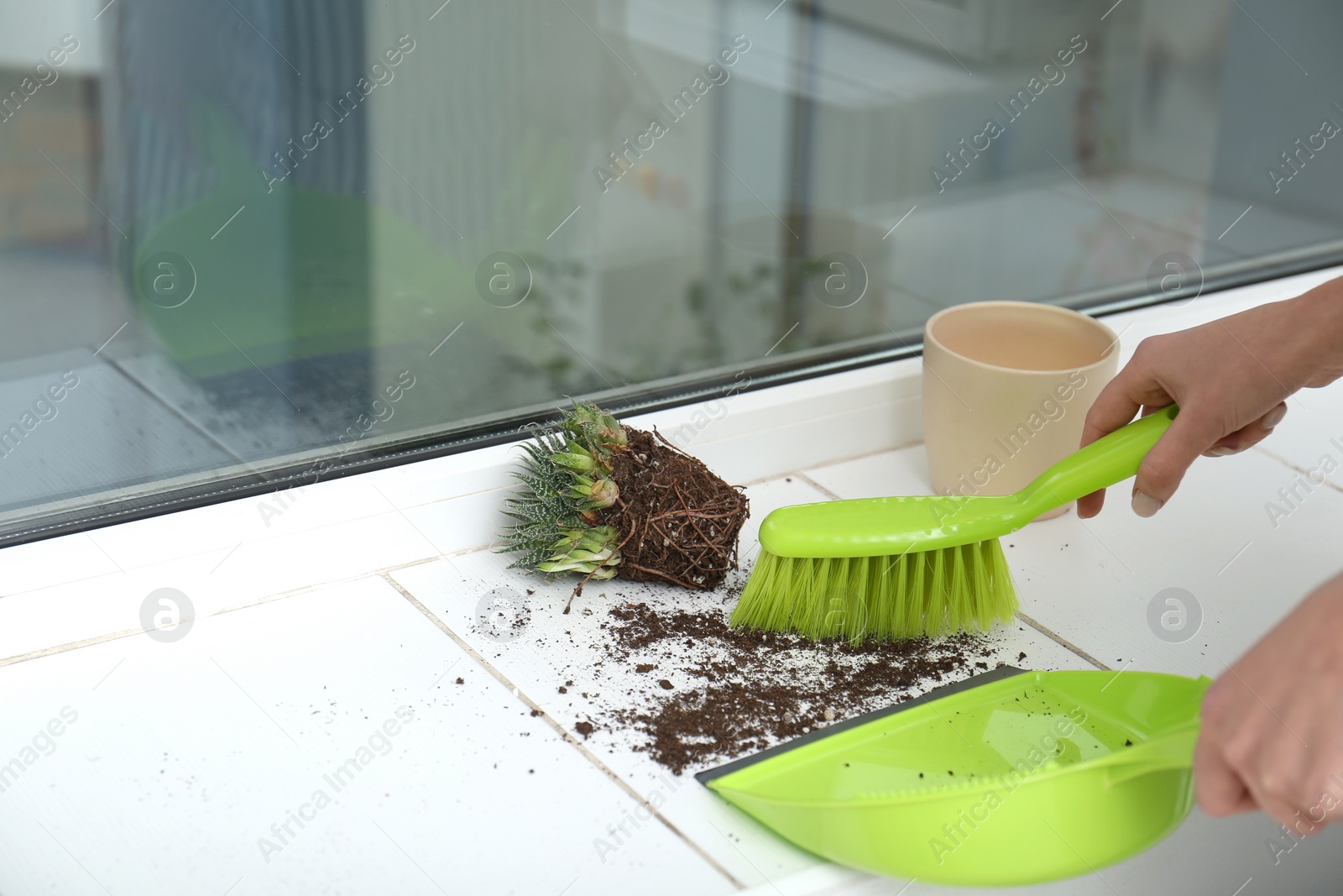 Photo of Woman sweeping away scattered soil from window sill with brush, closeup