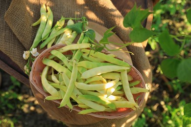 Photo of Wicker basket with fresh green beans on wooden chair in garden, top view