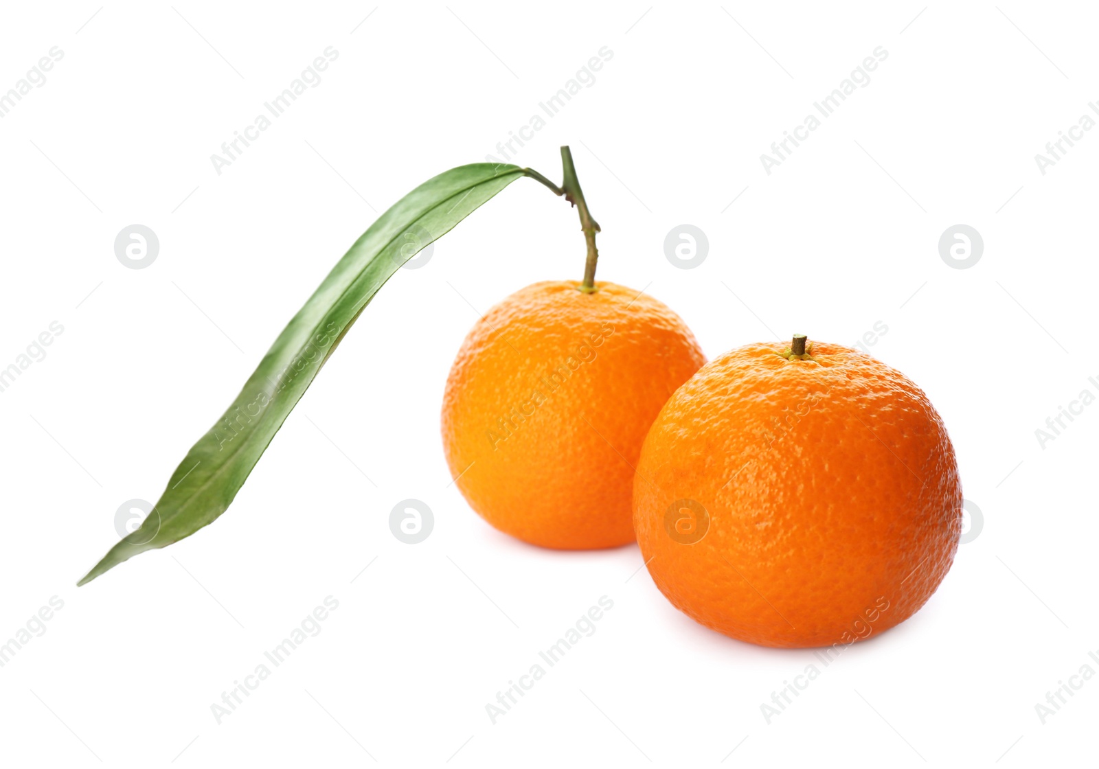 Photo of Whole fresh tangerines with green leaf on white background