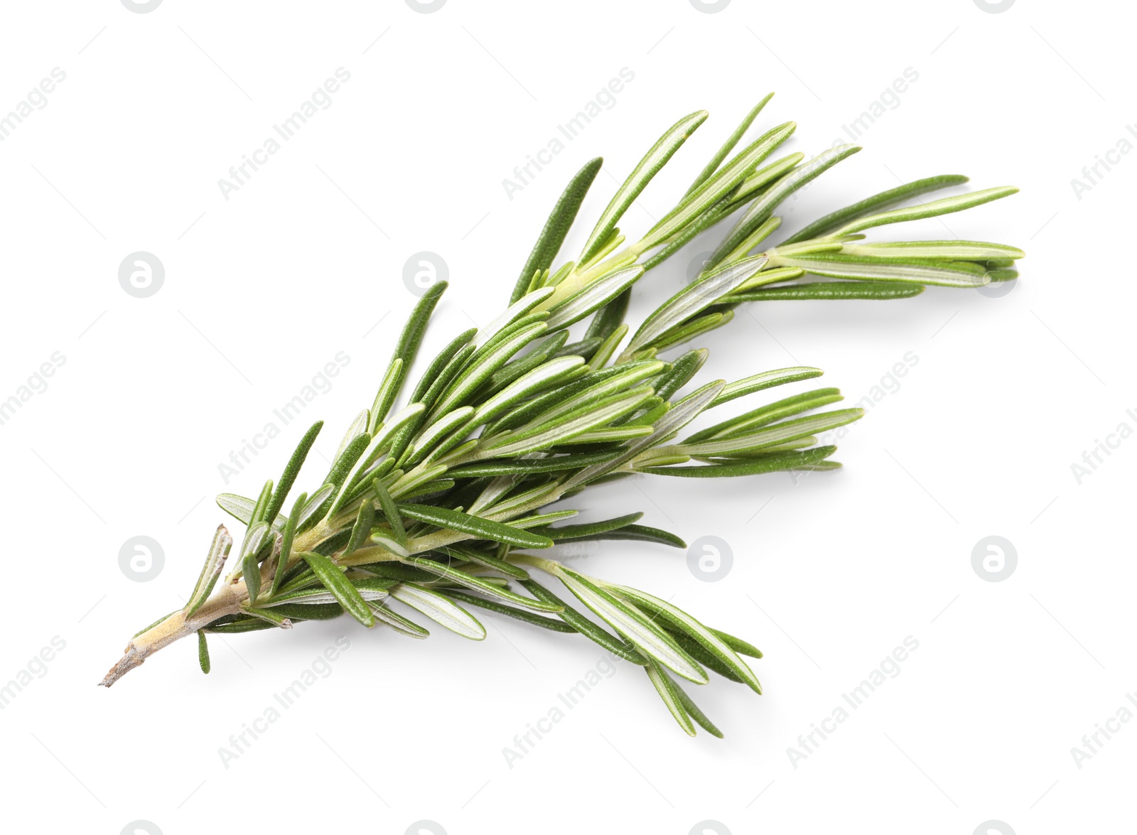 Photo of Sprig of fresh rosemary isolated on white, top view