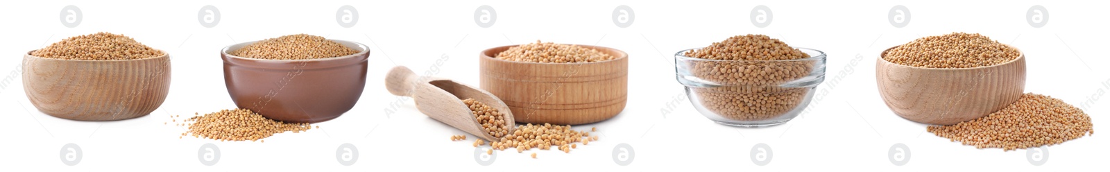 Image of Set with mustard seeds on white background. Banner design 