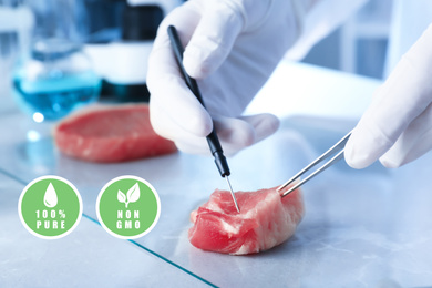 Scientist inspecting meat sample in laboratory, closeup. Food quality control