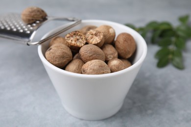 Photo of Nutmegs in bowl and grater on light grey table, closeup