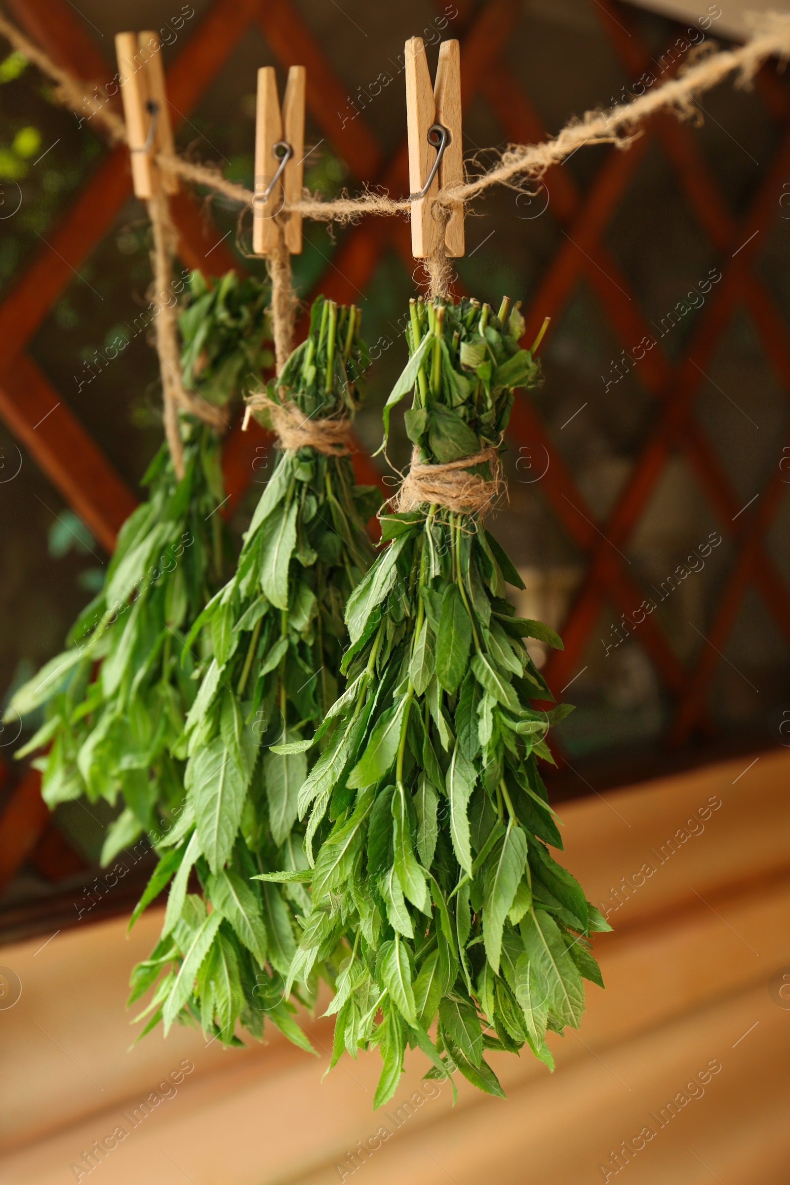 Photo of Bunches of beautiful green mint hanging on rope outdoors