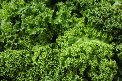 Photo of Fresh wet kale leaves as background, closeup