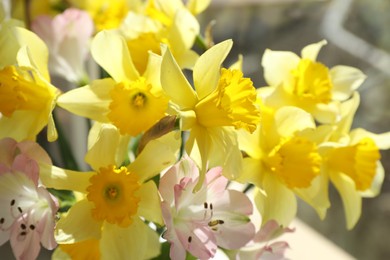 Bouquet of beautiful tender flowers, closeup view