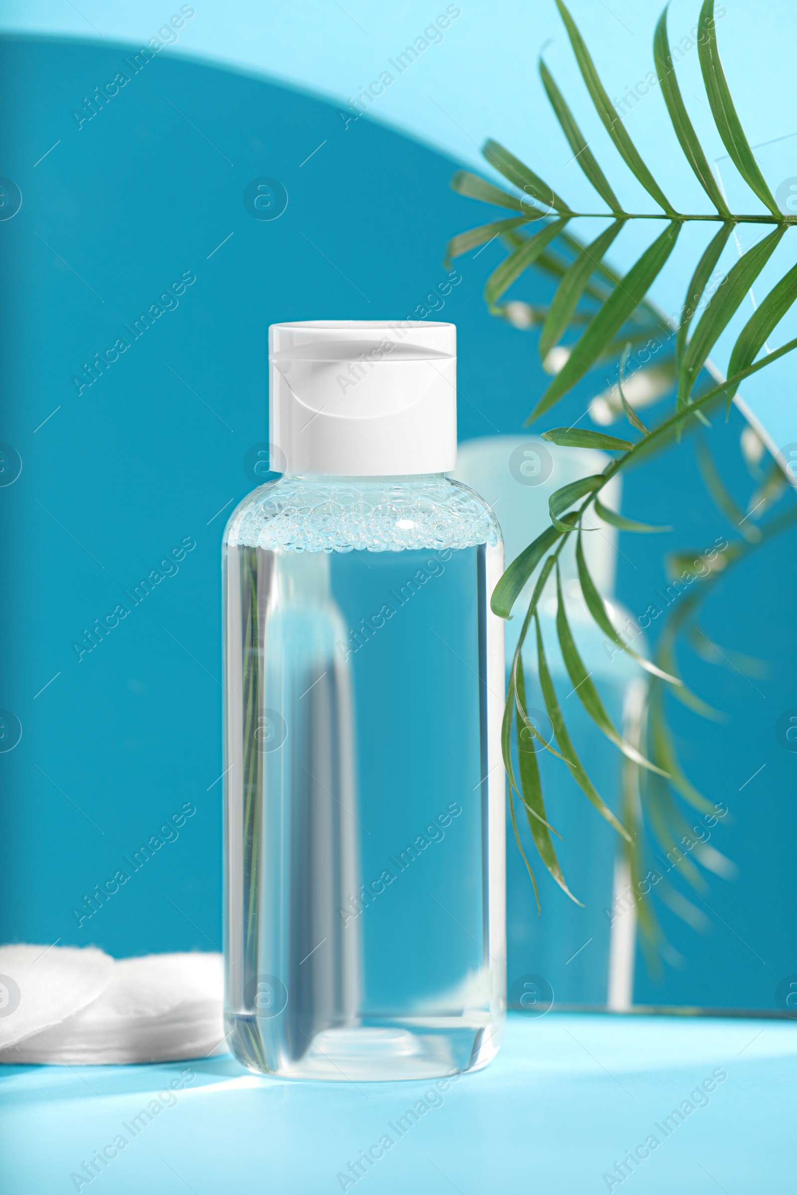 Photo of Bottle of micellar water, houseplant and cotton pads on light blue background near mirror