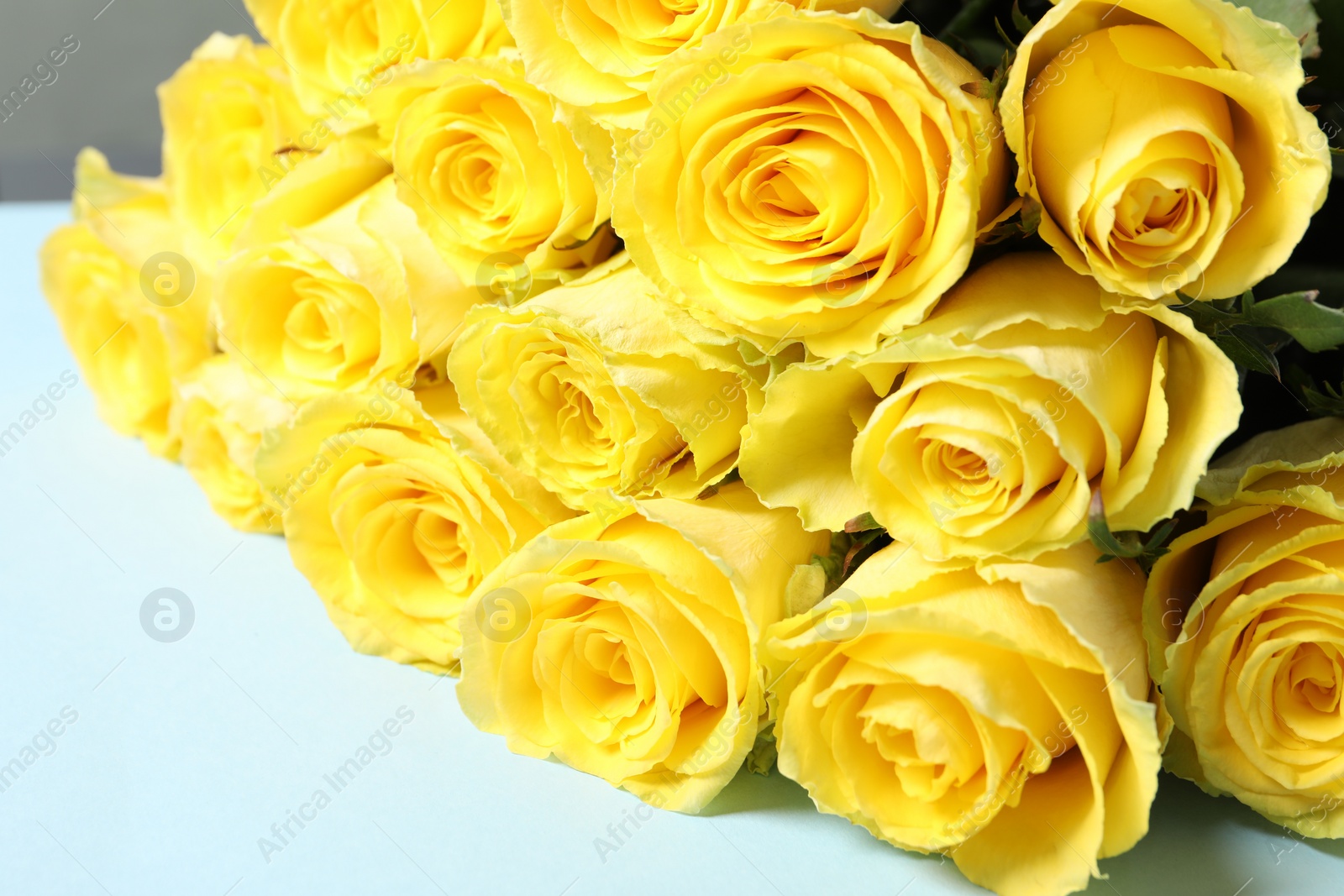 Photo of Beautiful bouquet of yellow roses on light blue background, closeup