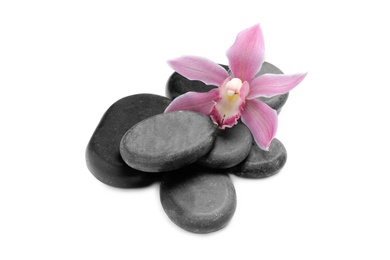 Photo of Beautiful orchid flower and spa stones on white background