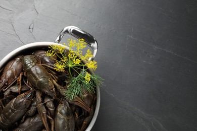 Photo of Fresh raw crayfishes with dill in pot on black table, top view. Space for text