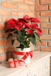 Beautiful poinsettia (traditional Christmas flower) and gifts on chest of drawers near brick wall