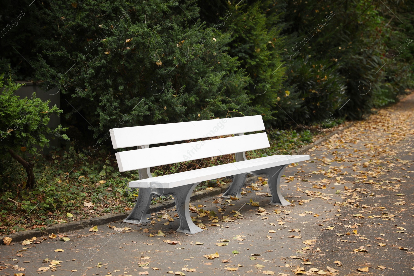 Photo of White wooden bench and green plants in park