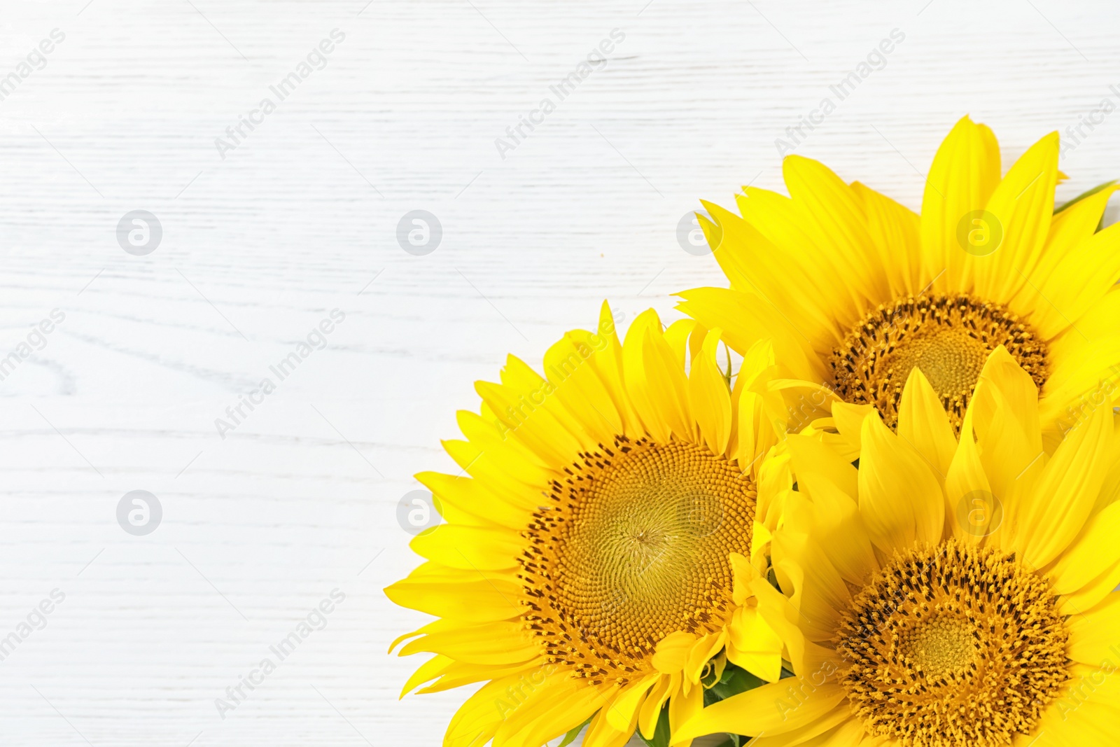 Photo of Yellow sunflowers on wooden background, top view