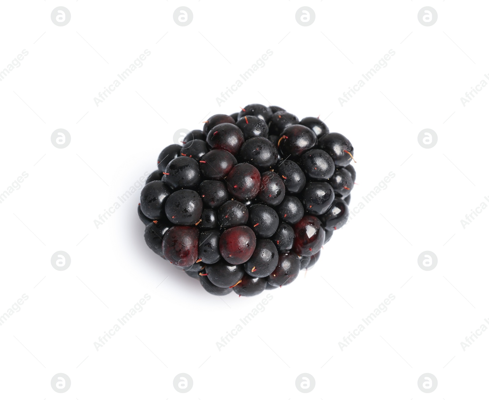 Photo of One tasty ripe blackberry isolated on white, top view