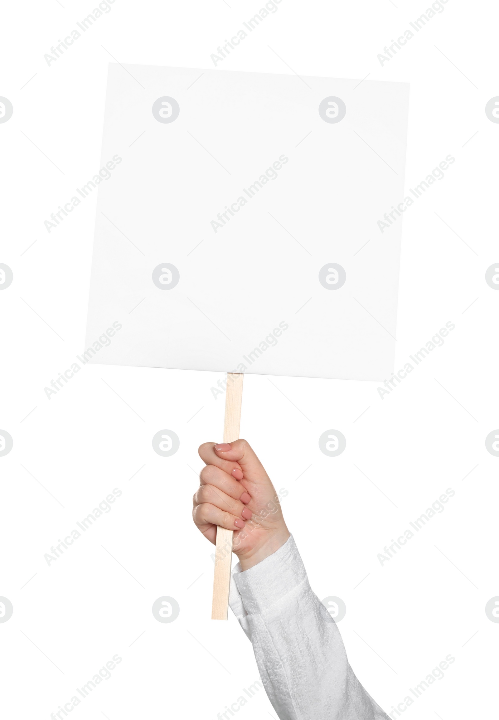 Photo of Woman holding blank protest sign on white background, closeup