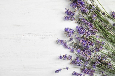 Photo of Beautiful blooming lavender flowers on light background, top view