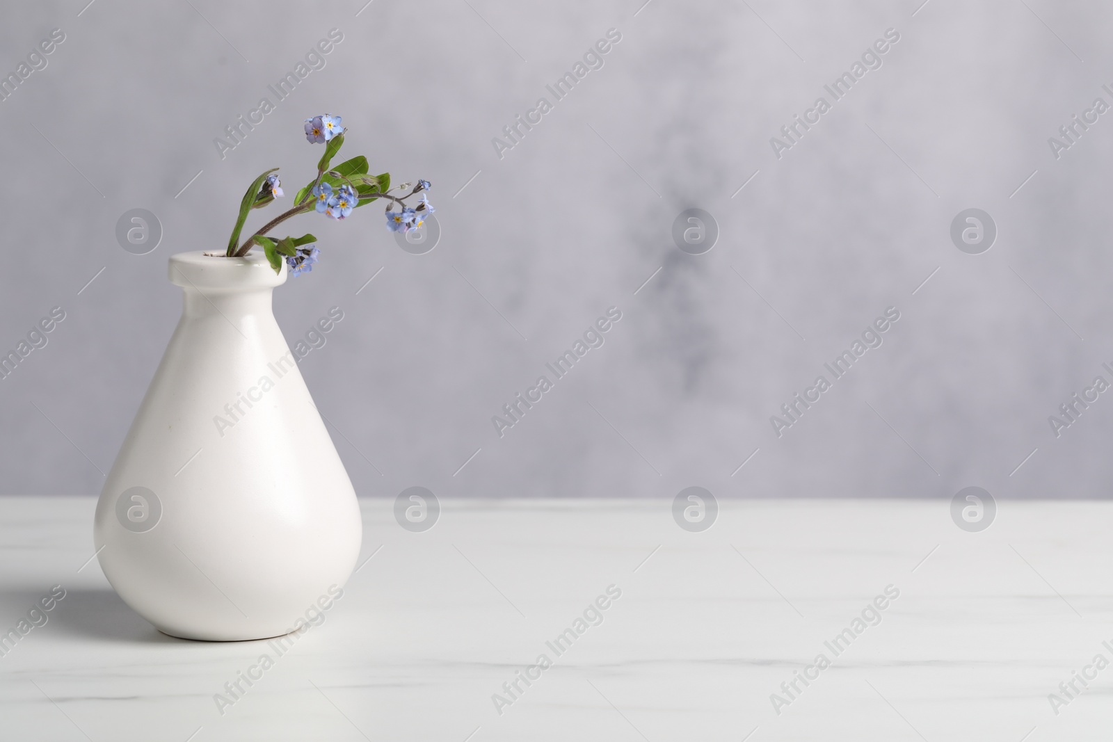 Photo of Beautiful forget-me-not flowers in vase on white marble table. Space for text