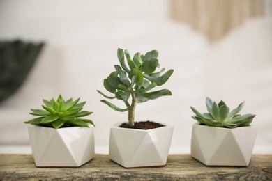 Beautiful potted succulents on wooden table indoors