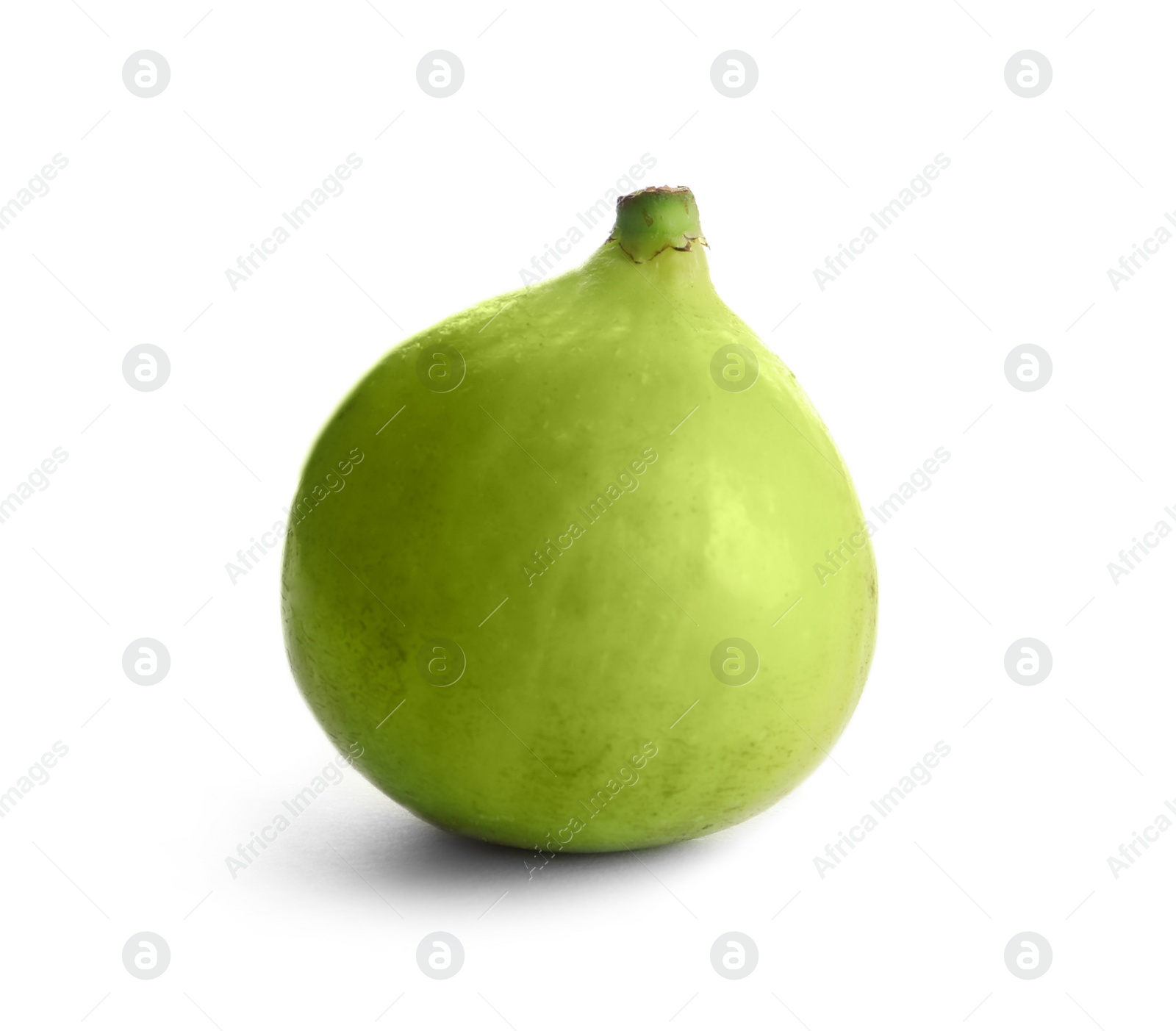 Photo of Whole ripe green fig on white background