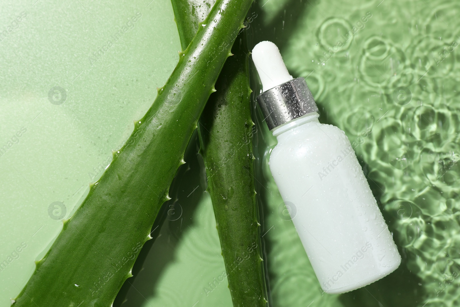 Photo of Bottle of cosmetic product and aloe leaves in water on pale green background, flat lay