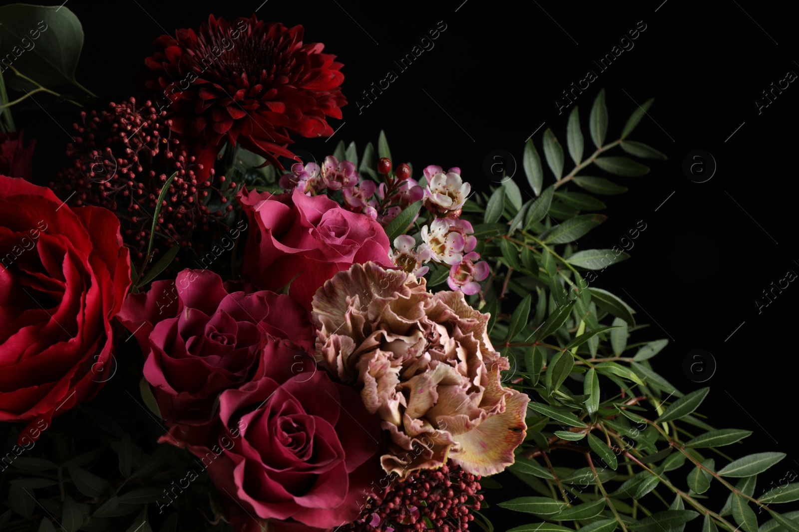 Photo of Beautiful bouquet of fresh flowers on dark background